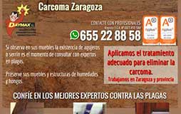 Diseño de landing page en Zaragoza