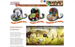 Diseño web en Salamanca