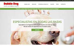 Diseño web corporativa Zaragoza